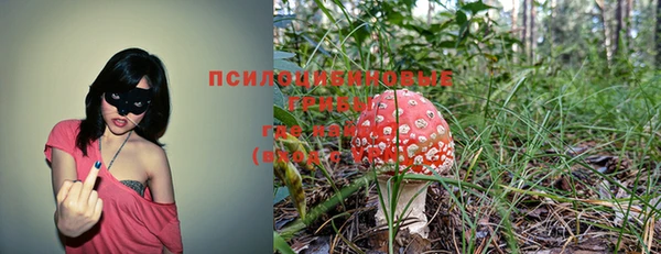 Альфа ПВП Абаза