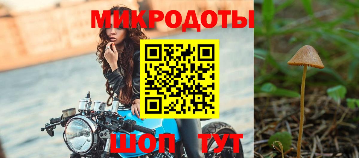 Галлюциногенные грибы прущие грибы  Вход с VPN  Галлюциногенные грибы Psilocybe  Советский 
