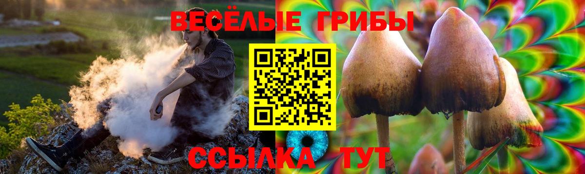 Галлюциногенные грибы MAGIC MUSHROOMS Советский